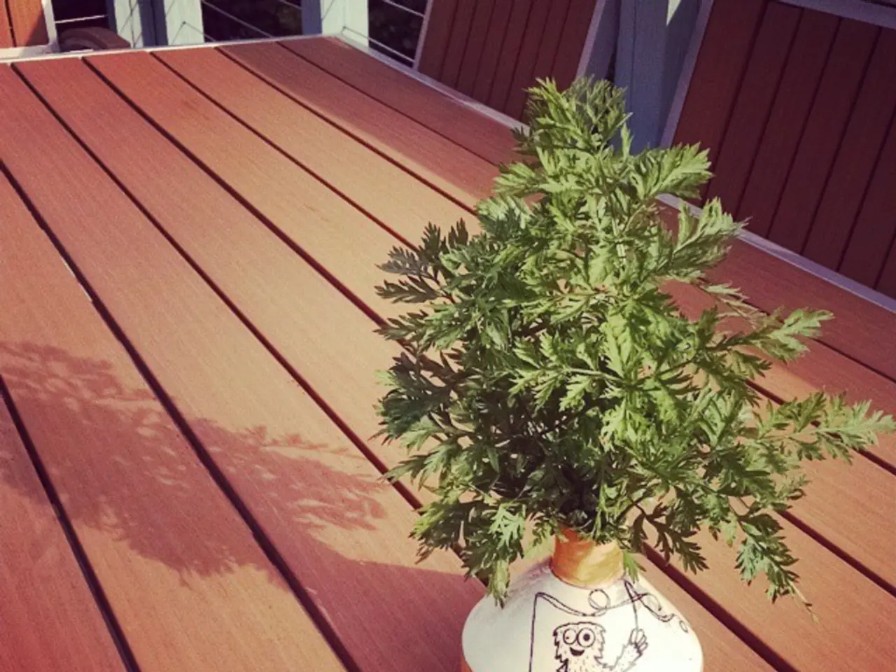 Neglected essential care for houseplants: A 2-minute task solved with a fork is crucial for their...