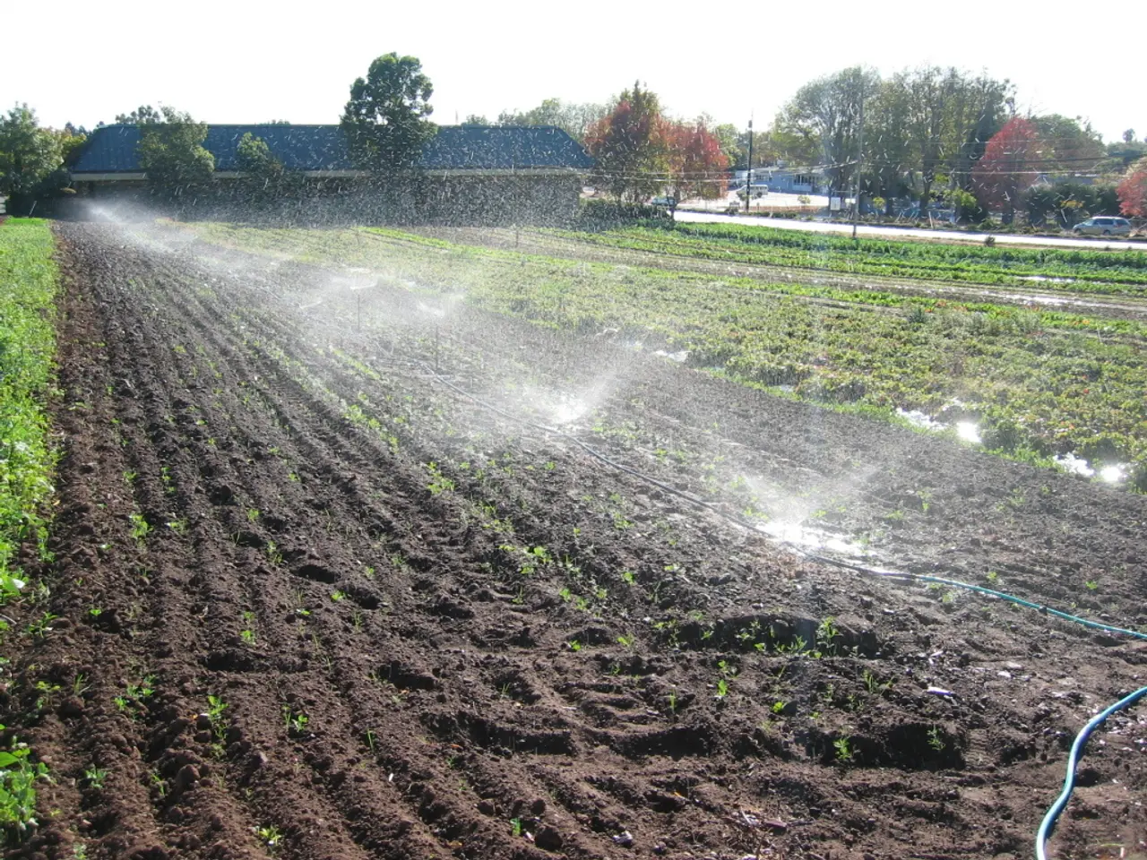 Maintaining irrigation networks: Strategies to prevent system failures