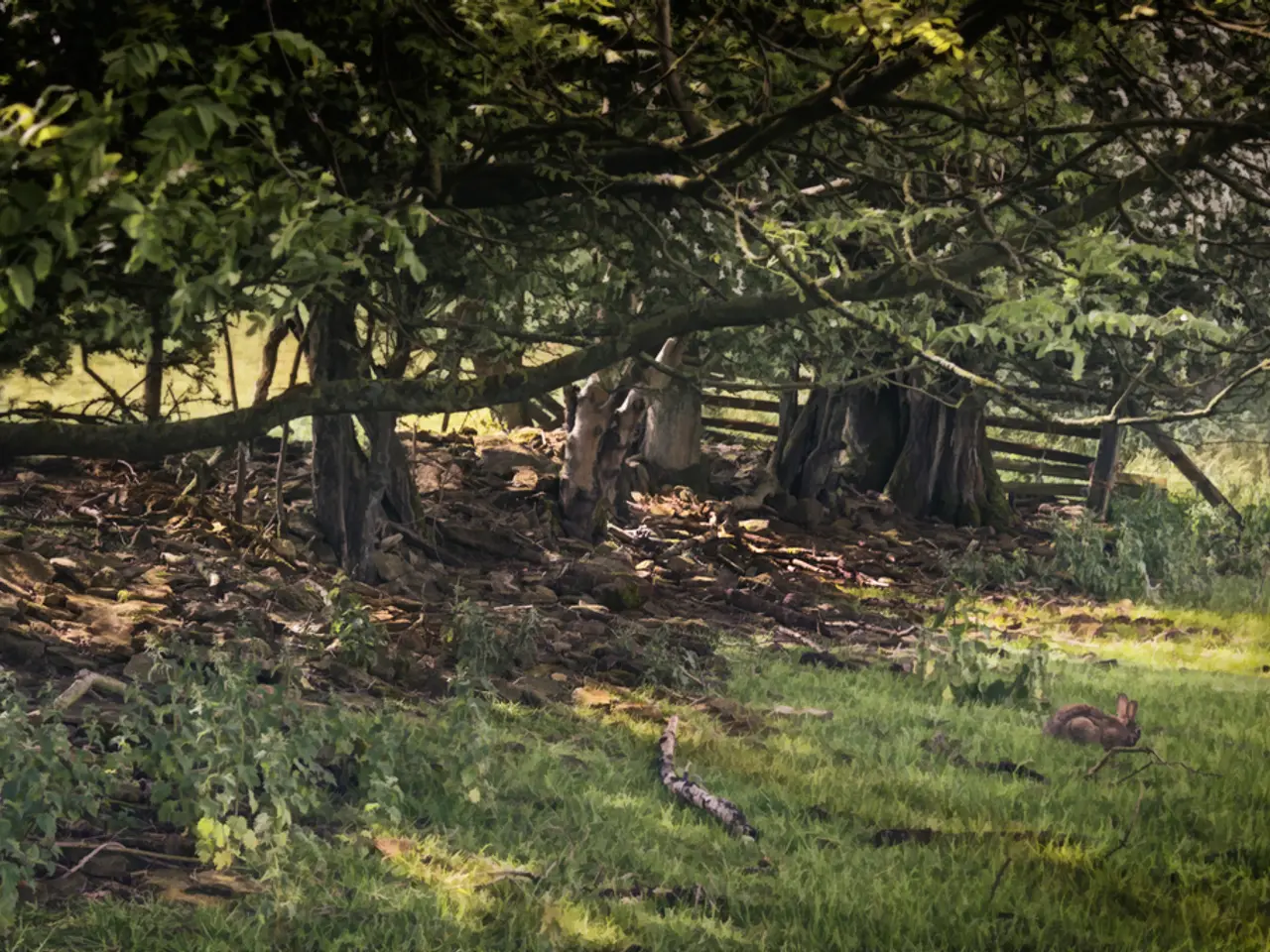 Maintaining Your Garden During Absence from Home (Travel)