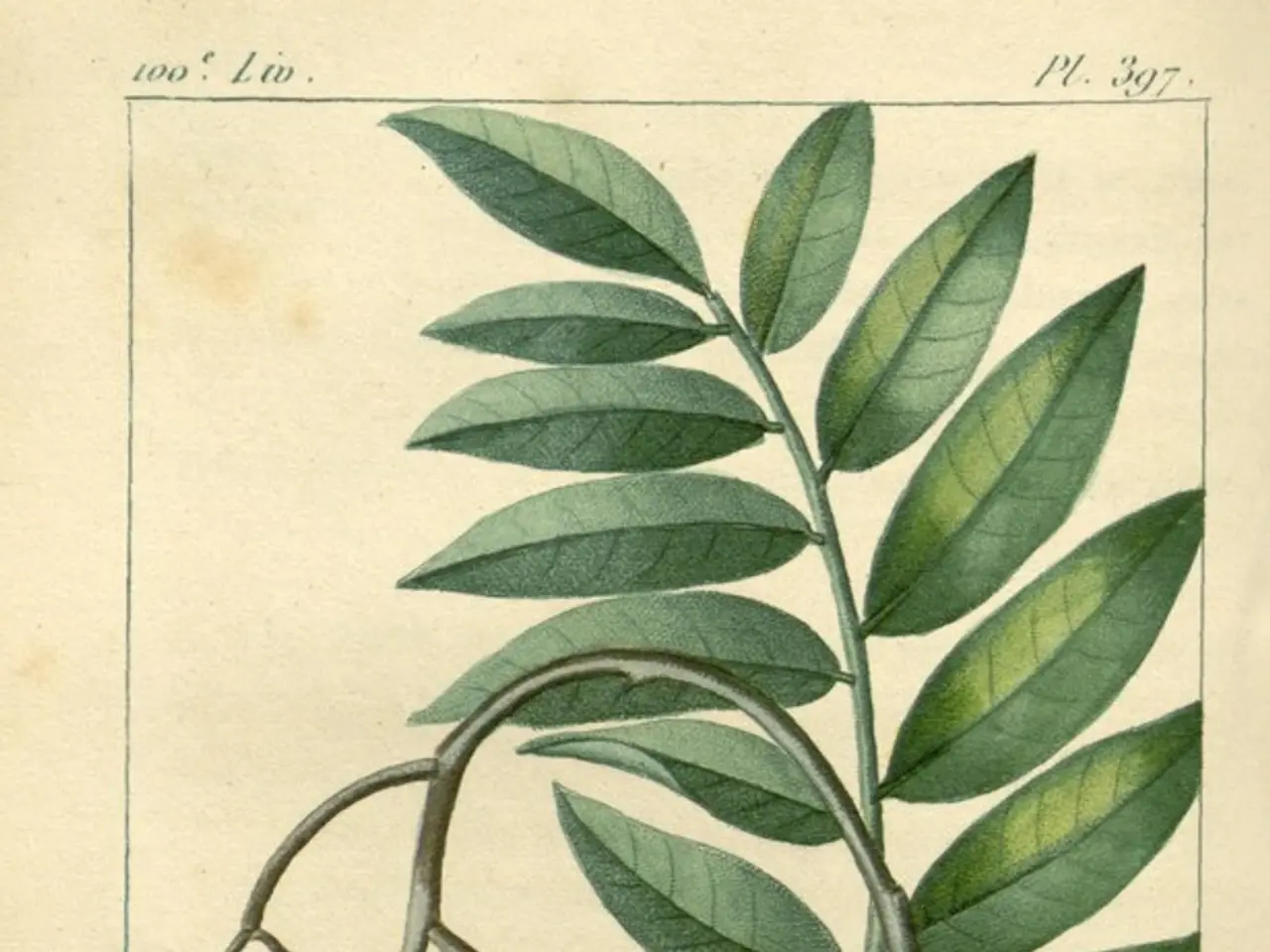 Craft an Origami Tulip with Stem in a Snap