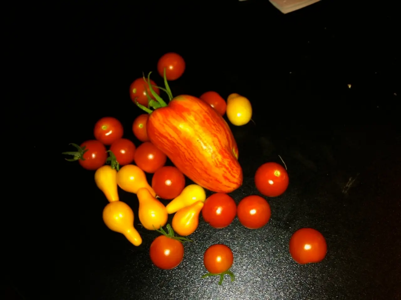 Backyard Fruit Cultivation Tutorial for Novices