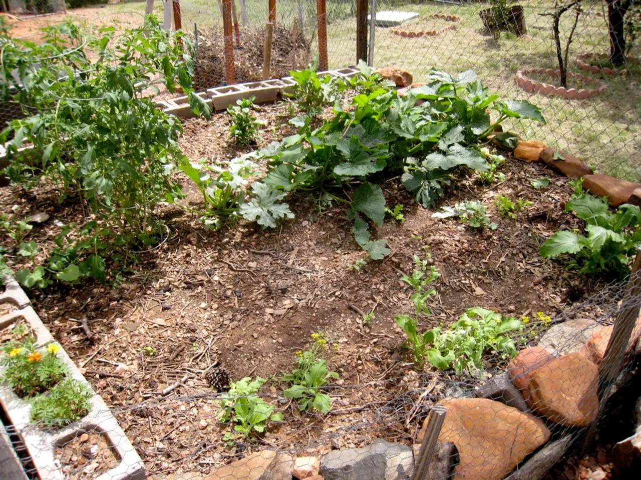 Managing Your Garden During an Absence