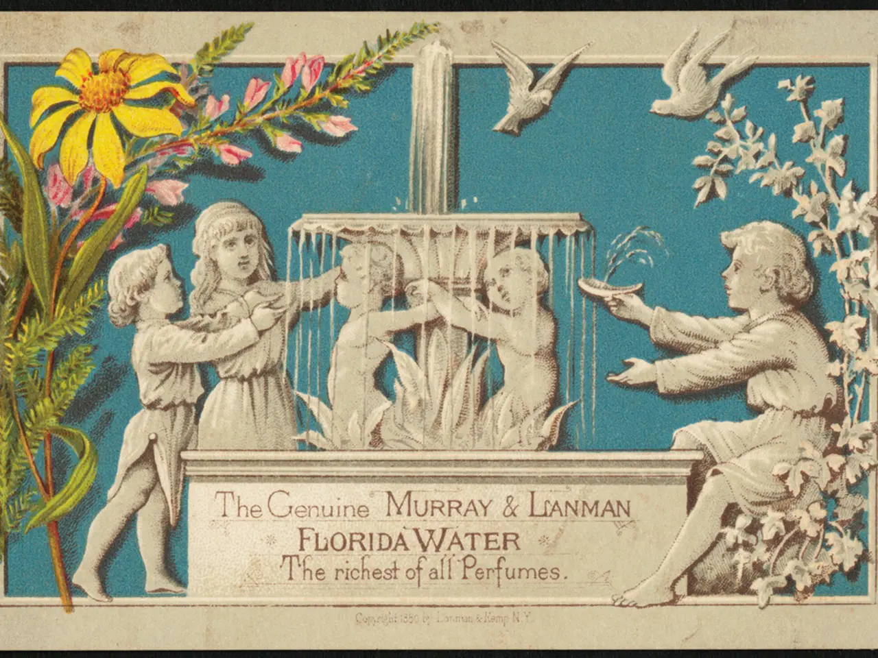 Tropical Climber Plant Named Passiflora