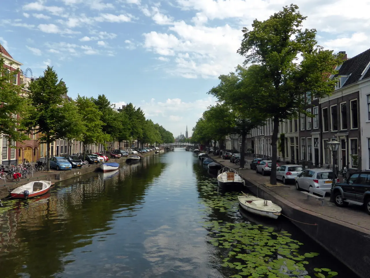 Guide to Powercats: Lagoon Edition