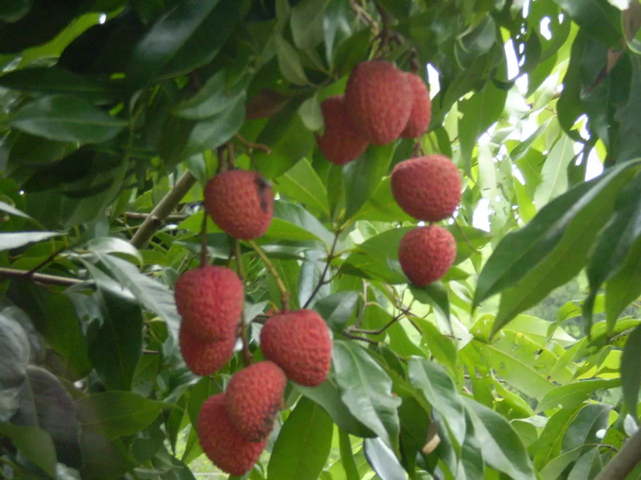 Unhappy farmer in Braunschweig expresses displeasure: "Not entertaining at all."