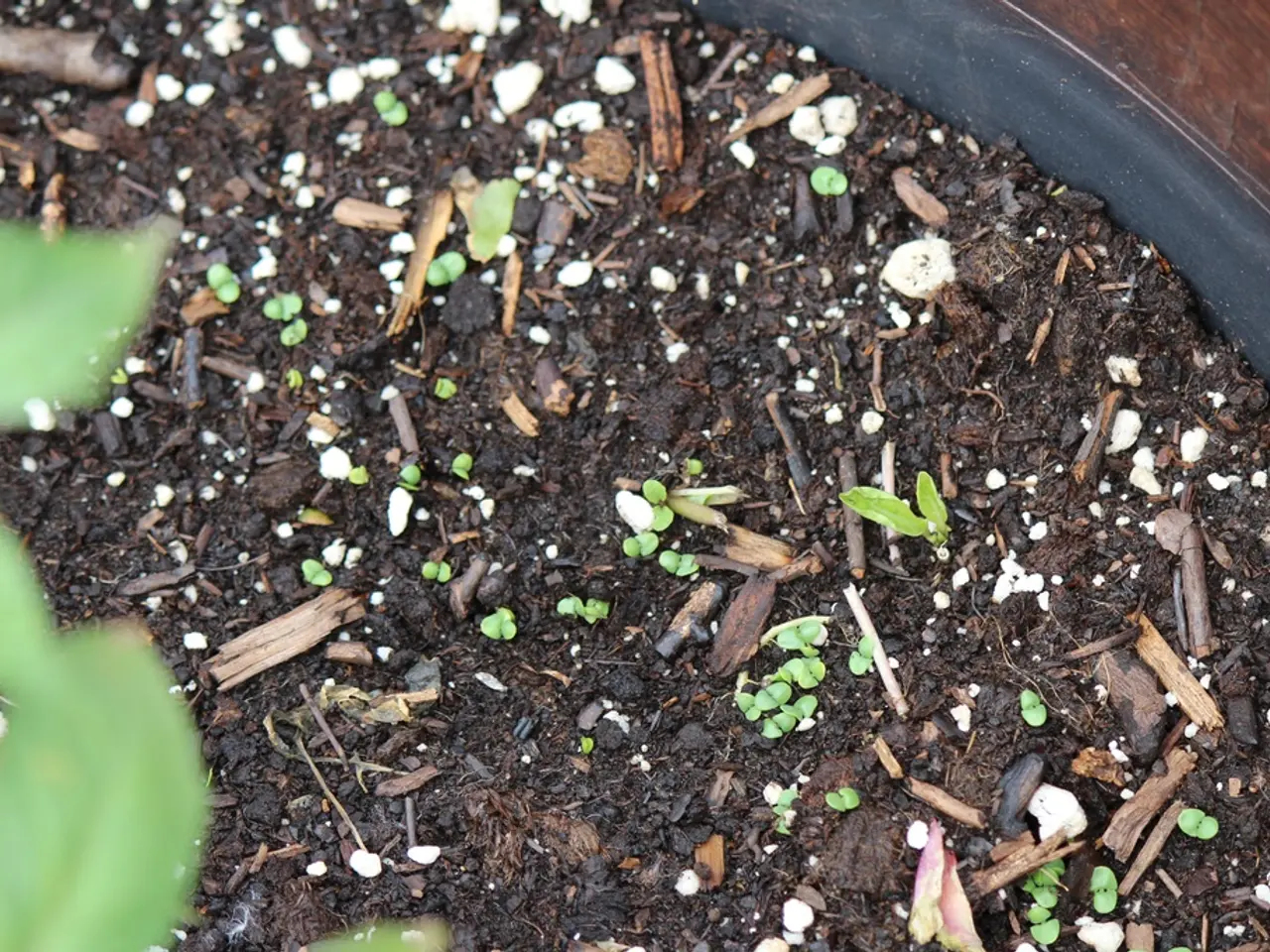 Preparing for a Successful Planting: Handy Tips for Easing Soil Digging