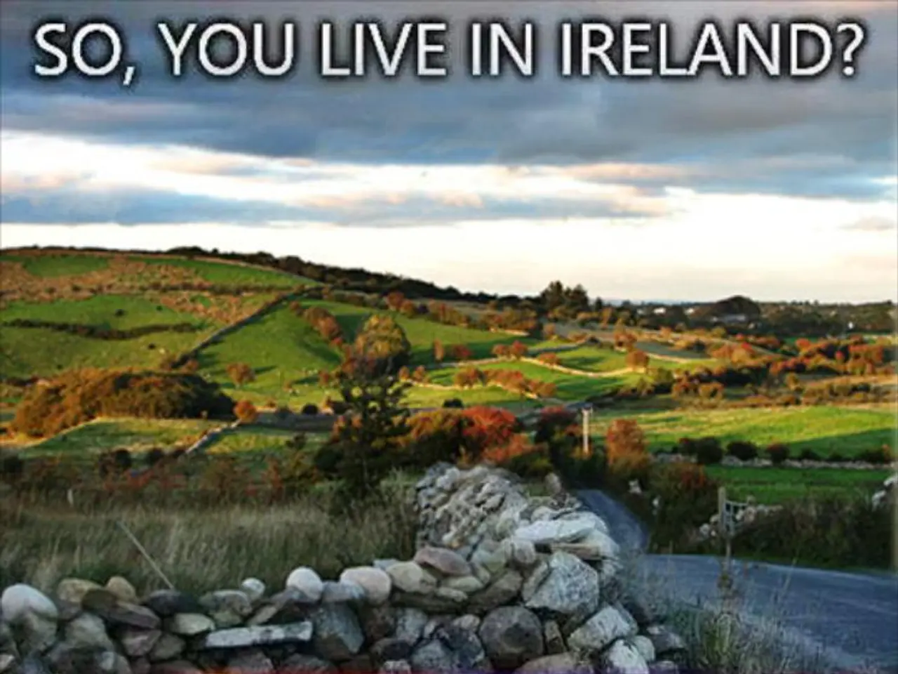 Optimizing Fuel Consumption on the Road: Tips and Tricks for Saving Gas