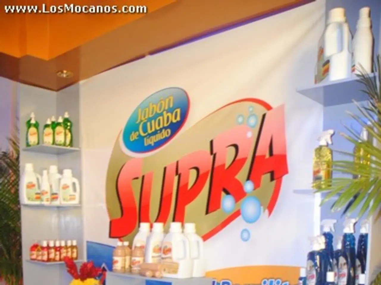 South African Study Reveals Woolworths as Top-Ranked Retailer