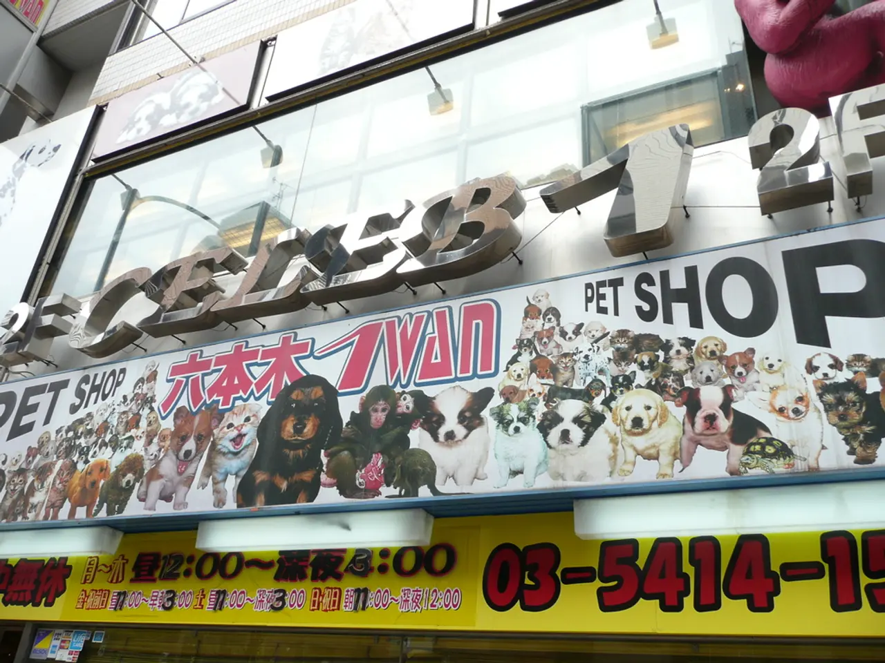 The Delight of Amassing Antique Postcards as a Pastime