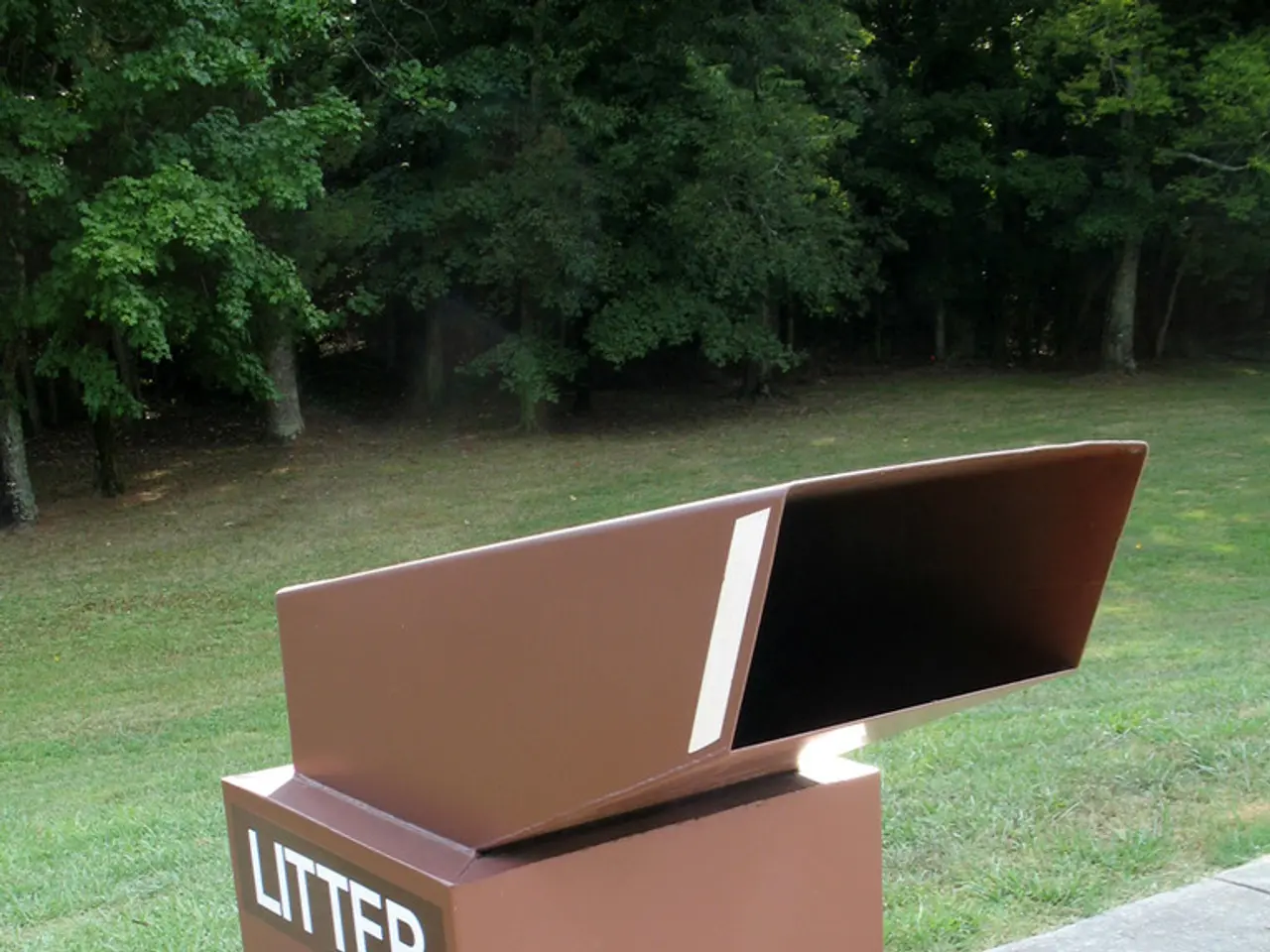 Train a rabbit to use a litter box in 5 simple methods