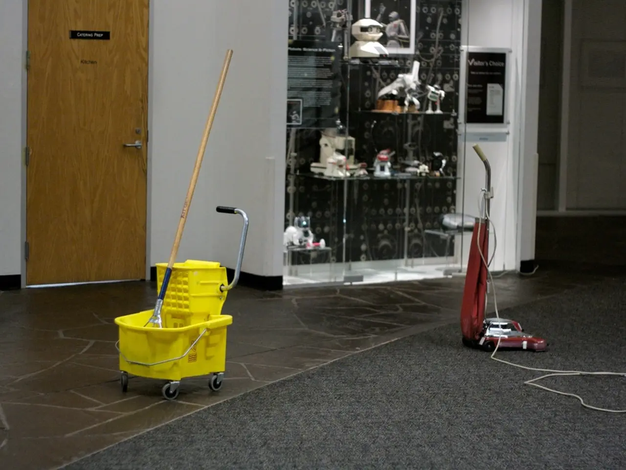 Transforming Living Spaces for a Greener Earth: Embracing Ecological Cleaning Solutions