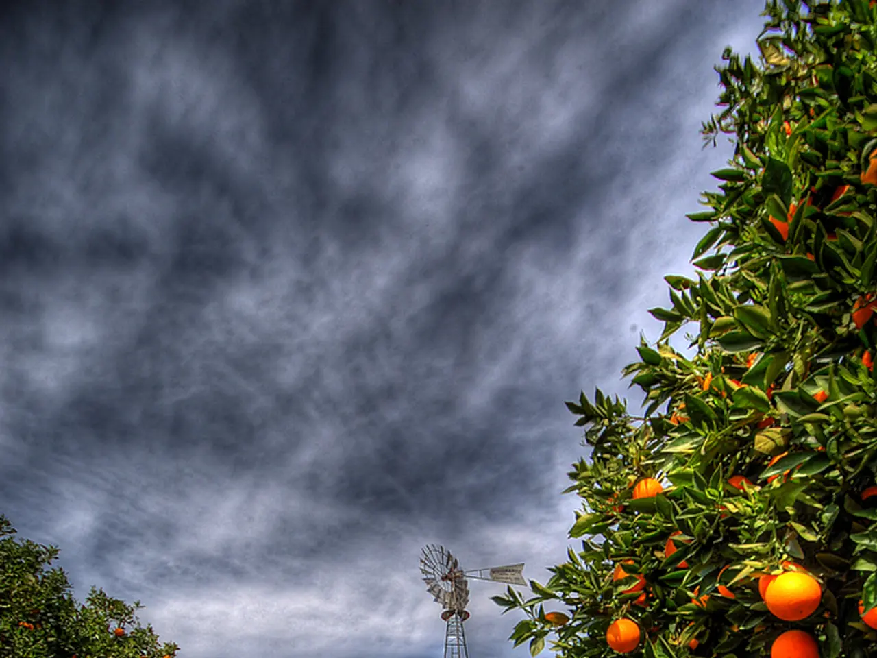 Gather and Be Citrusy with Carolyn in Episode 1