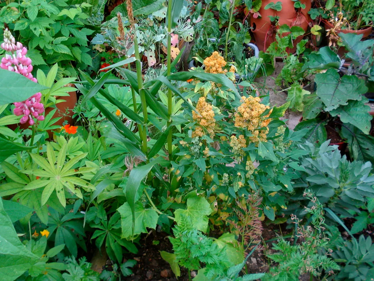 Exploring Twelve Greenhouse Spaces - A Thousand Blooming Tulips Radiating Beauty in the Yard