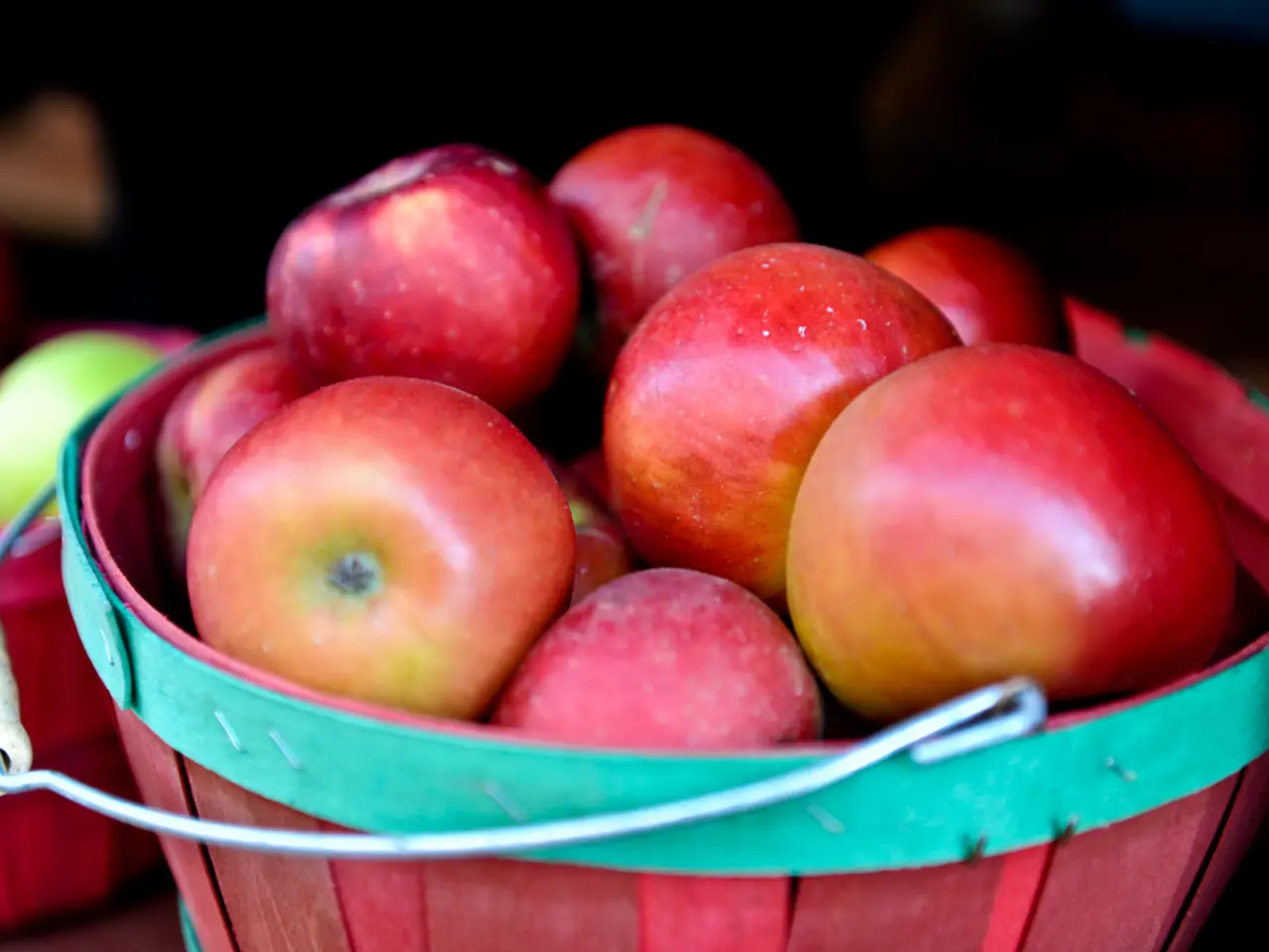 Annual Apple Celebration Hosted by Local NABU Chapter: Bountiful Orchard Event