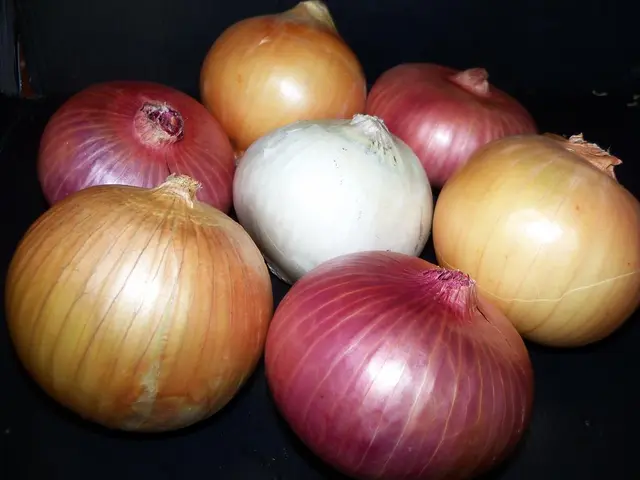 Purchasing (Avoid Buying) Seeds of Garlic for Growth: Recommendations and Warnings
