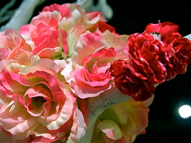 Mastering Rose Trimming: Expert-Recommended Techniques for Vibrant Blossoms throughout the Year