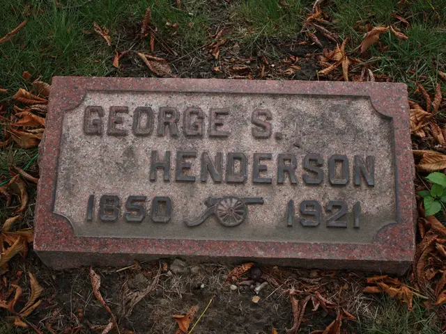 Revitalize Your struggling Houseplant: Essential Tips for Recovery