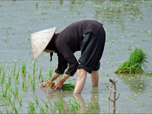 Allen Titchmarsh to debut gardening content on TikTok and YouTube: Alan Titchmarsh's Gardening...