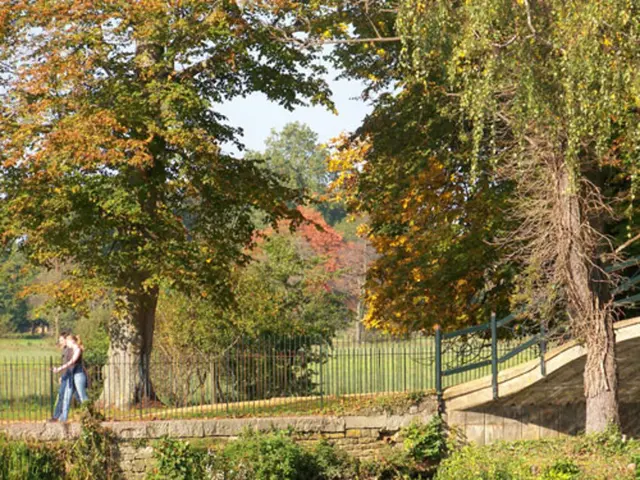 Improving National Parks to Restore America's Natural Beauty