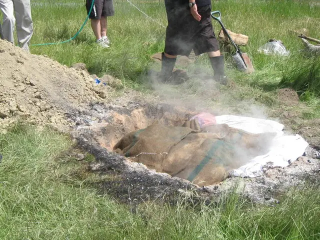 Expert Advice on Gutter Cleaning from Drainage Experts for Effortless Maintenance