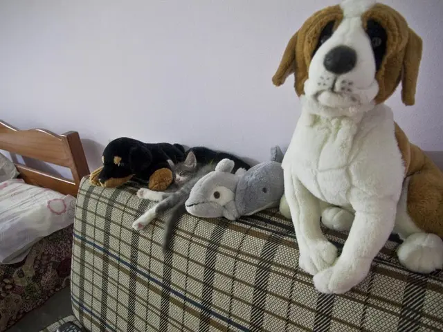 Transform Your Living Space with a Multifunctional Sofa-Bed