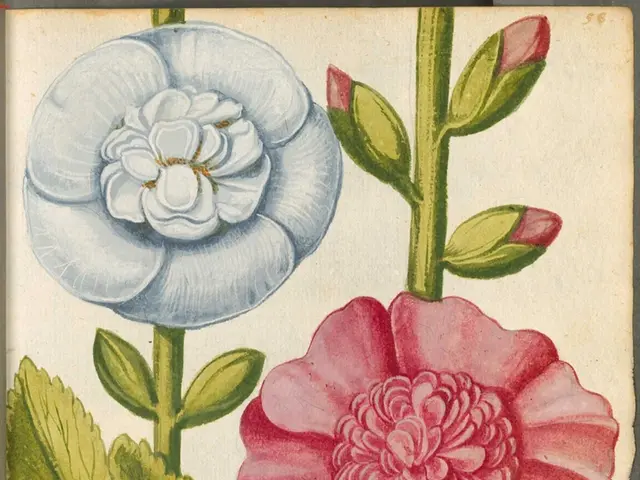 Blossoming Splendor in the Sunlit Season