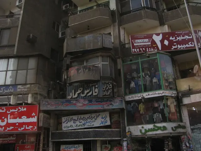 Secondary Glazing Experts: Expertise in Storm Windows Solutions