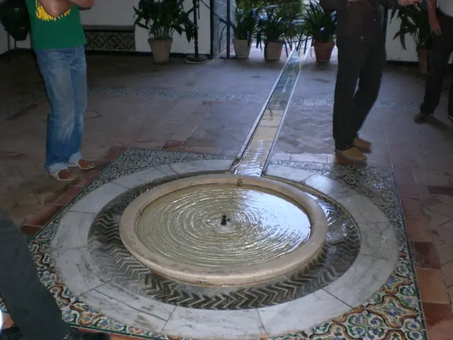 Self-Constructed Hydroponic Systems Ideal for Compact Areas