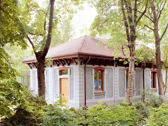 Tending a Money Tree: Tips to Nurture Your "Wealth-Bringing" Plant, According to Folklore, It Could...