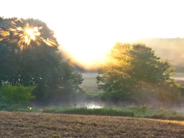 "Fiona Reynolds discusses how the Land Use Framework could enhance the small, charming yet densely...