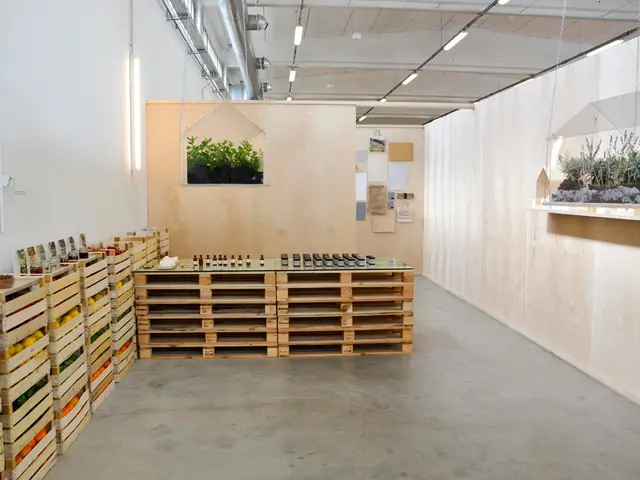 Terrarium Illumination: Top Picks for Natural and Artificial Lighting Solutions