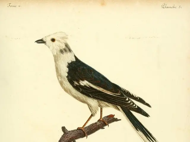 "Tree Tale" - A Poetic Expression by the Youth Council