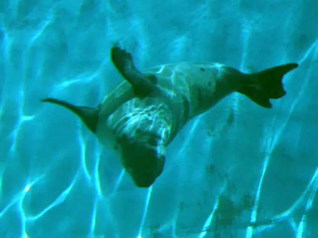 Improve your photography with this filter, potentially saving you up to $36 immediately.