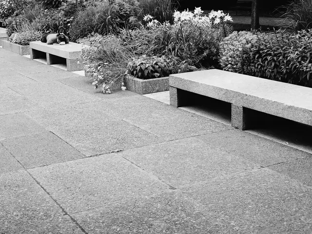 Top 12 Garden Benches: Showcasing the Most Fashionable and Functional Designs