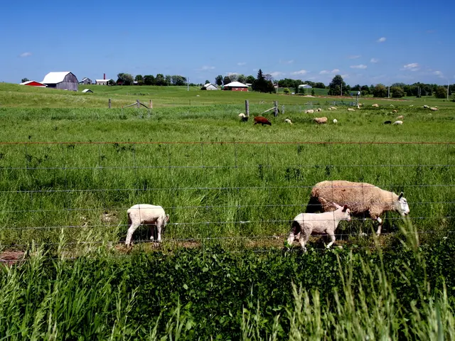 Ecological Landscaping with Goats: Examining the EPA's Innovative Approach to Natural Lawn...