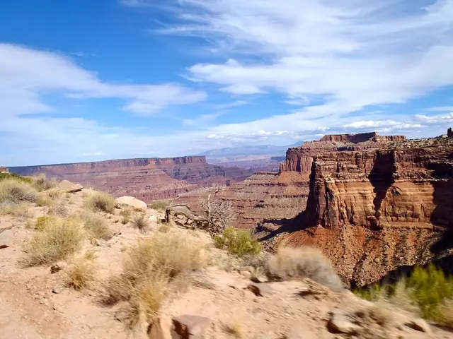 Top spring hikes: tips, trails, and useful advice for enjoyable treks in the warm season