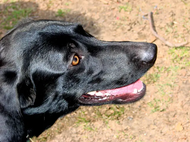 Luna's outlook is tragic, indeed.