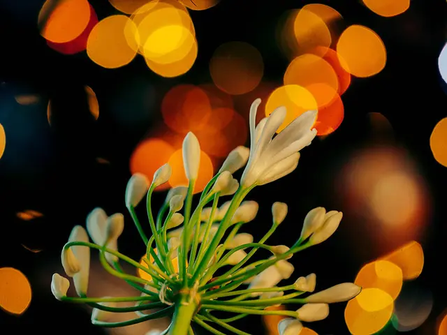 Luminescent petunias, the latest gardening breakthrough, are revolutionizing outdoor lighting in...