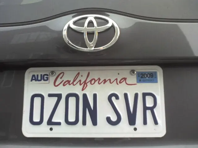 Diverse Prevalence of Historical License Plates