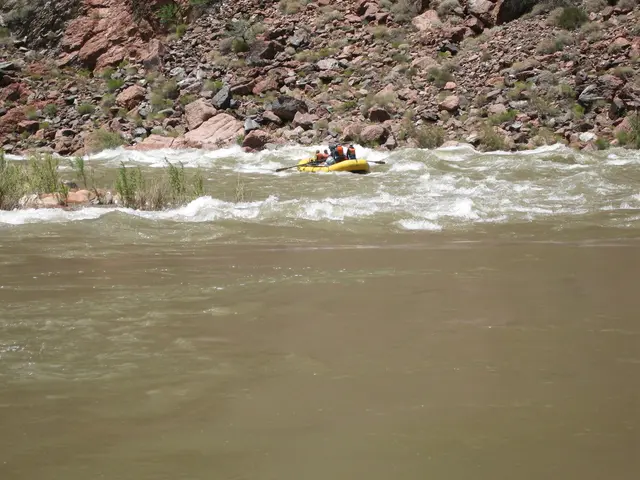 Florida's Island State Park Showcases Breathtaking Perspectives Over Abundant Emerald Waters
