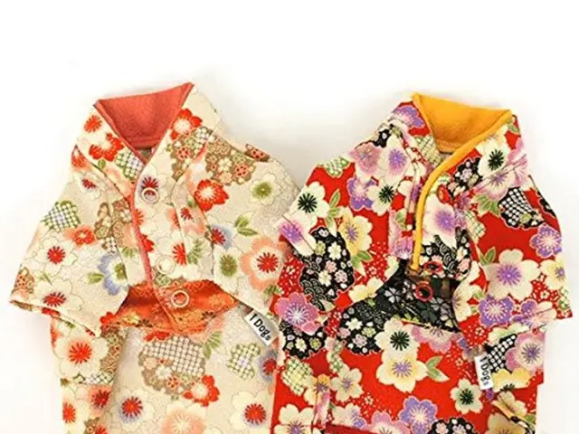 Iconic Wimbledon ensemble wins Kate Middleton a fan for pleated skirts