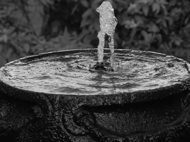 Smart Irrigation Systems with App Control: Top 5 Models That Deliver Value