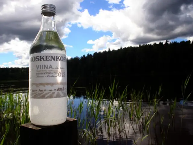 Top Picks for Air-Purifying Houseplants