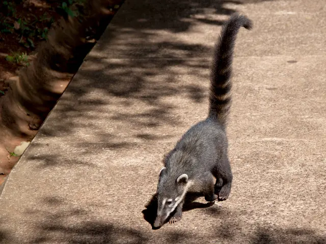 Harmful Impact on Floral Vegetation via Chemicals