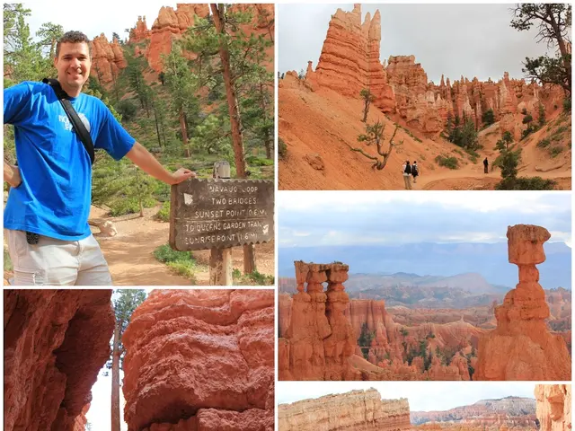 Entertaining activities for kids and families spanning from July through August