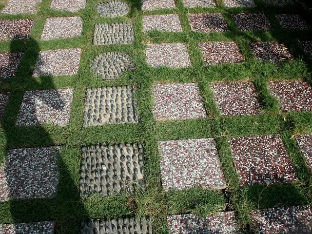 Controversial Pavement Discourse: Asphalt Against Chip Seal Coating