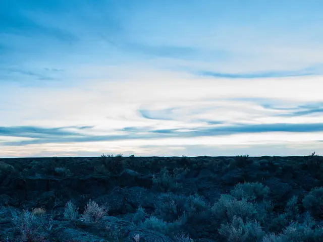 Guidelines for Surviving in the Outdoors