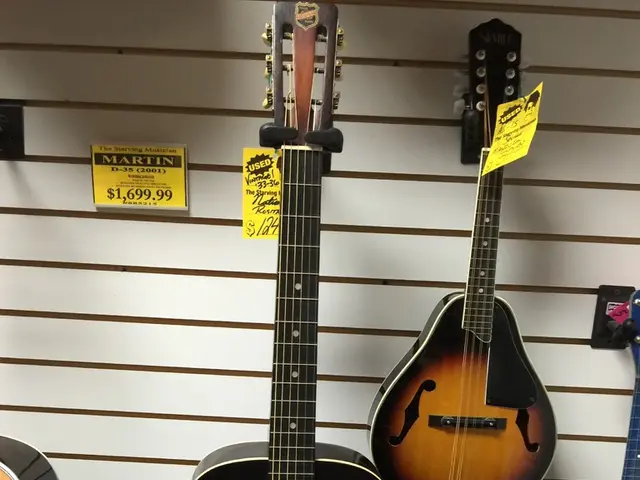 Unexpected discovery from a trusted source: the 1960 Gibson ES-335 reveals the endless knowledge...