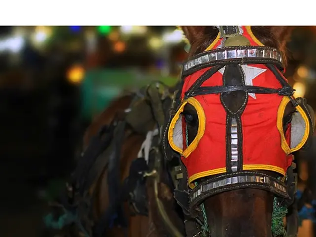 The triumph of Barbara Kingsolver's "The Uncomfortable": a novel delving into the heart of American...