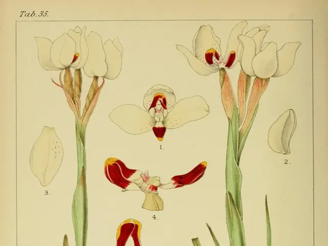 Safeguard Your Garden with These 7 Effective Plant Pest Repellants